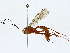 ( - BIOUG95321-B08)  @11 [ ] CreativeCommons - Attribution (2022) CBG Photography Group Centre for Biodiversity Genomics