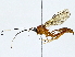  ( - BIOUG95321-B09)  @11 [ ] CreativeCommons - Attribution (2022) CBG Photography Group Centre for Biodiversity Genomics