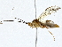  ( - BIOUG95322-C07)  @11 [ ] CreativeCommons - Attribution (2022) CBG Photography Group Centre for Biodiversity Genomics