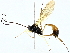  ( - BIOUG95323-A09)  @11 [ ] CreativeCommons - Attribution (2022) CBG Photography Group Centre for Biodiversity Genomics