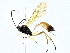  ( - BIOUG95323-B09)  @11 [ ] CreativeCommons - Attribution (2022) CBG Photography Group Centre for Biodiversity Genomics