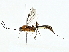  ( - BIOUG95323-C03)  @13 [ ] CreativeCommons - Attribution (2022) CBG Photography Group Centre for Biodiversity Genomics