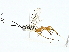  ( - BIOUG95323-C06)  @11 [ ] CreativeCommons - Attribution (2022) CBG Photography Group Centre for Biodiversity Genomics