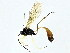  ( - BIOUG95323-C12)  @11 [ ] CreativeCommons - Attribution (2022) CBG Photography Group Centre for Biodiversity Genomics