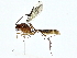  ( - BIOUG95323-D08)  @11 [ ] CreativeCommons - Attribution (2022) CBG Photography Group Centre for Biodiversity Genomics