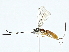  ( - BIOUG95323-D12)  @11 [ ] CreativeCommons - Attribution (2022) CBG Photography Group Centre for Biodiversity Genomics