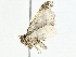  ( - BIOUG95323-F02)  @11 [ ] CreativeCommons - Attribution (2022) CBG Photography Group Centre for Biodiversity Genomics