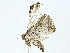  ( - BIOUG95323-F12)  @11 [ ] CreativeCommons - Attribution (2022) CBG Photography Group Centre for Biodiversity Genomics