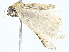  ( - BIOUG95324-F09)  @11 [ ] CreativeCommons - Attribution (2022) CBG Photography Group Centre for Biodiversity Genomics