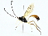  ( - BIOUG95324-G06)  @11 [ ] CreativeCommons - Attribution (2022) CBG Photography Group Centre for Biodiversity Genomics