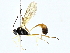  ( - BIOUG95324-G10)  @11 [ ] CreativeCommons - Attribution (2022) CBG Photography Group Centre for Biodiversity Genomics