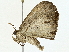  ( - BIOUG95325-B01)  @11 [ ] CreativeCommons - Attribution (2022) CBG Photography Group Centre for Biodiversity Genomics