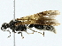 ( - BIOUG95325-F10)  @11 [ ] CreativeCommons - Attribution (2022) CBG Photography Group Centre for Biodiversity Genomics