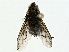  ( - BIOUG95326-B02)  @11 [ ] CreativeCommons - Attribution (2022) CBG Photography Group Centre for Biodiversity Genomics