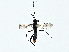  ( - BIOUG95326-D09)  @11 [ ] CreativeCommons - Attribution (2022) CBG Photography Group Centre for Biodiversity Genomics