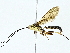  ( - BIOUG95326-D11)  @11 [ ] CreativeCommons - Attribution (2022) CBG Photography Group Centre for Biodiversity Genomics
