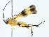  ( - BIOUG95326-E11)  @11 [ ] CreativeCommons - Attribution (2022) CBG Photography Group Centre for Biodiversity Genomics