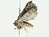  ( - BIOUG95326-G01)  @11 [ ] CreativeCommons - Attribution (2022) CBG Photography Group Centre for Biodiversity Genomics