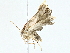  ( - BIOUG95354-E05)  @11 [ ] CreativeCommons - Attribution (2022) CBG Photography Group Centre for Biodiversity Genomics