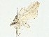  ( - BIOUG95354-F01)  @11 [ ] CreativeCommons - Attribution (2022) CBG Photography Group Centre for Biodiversity Genomics