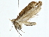  ( - BIOUG95354-F04)  @11 [ ] CreativeCommons - Attribution (2022) CBG Photography Group Centre for Biodiversity Genomics