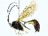  ( - BIOUG95355-B09)  @11 [ ] CreativeCommons - Attribution (2022) CBG Photography Group Centre for Biodiversity Genomics
