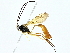  ( - BIOUG95355-C05)  @11 [ ] CreativeCommons - Attribution (2022) CBG Photography Group Centre for Biodiversity Genomics