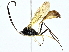  ( - BIOUG95355-C07)  @11 [ ] CreativeCommons - Attribution (2022) CBG Photography Group Centre for Biodiversity Genomics