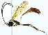  ( - BIOUG95355-C09)  @11 [ ] CreativeCommons - Attribution (2022) CBG Photography Group Centre for Biodiversity Genomics