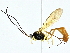  ( - BIOUG95355-D05)  @11 [ ] CreativeCommons - Attribution (2022) CBG Photography Group Centre for Biodiversity Genomics