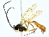  ( - BIOUG95355-D06)  @11 [ ] CreativeCommons - Attribution (2022) CBG Photography Group Centre for Biodiversity Genomics
