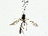  ( - BIOUG95355-E02)  @11 [ ] CreativeCommons - Attribution (2022) CBG Photography Group Centre for Biodiversity Genomics