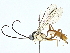  ( - BIOUG95355-E10)  @11 [ ] CreativeCommons - Attribution (2022) CBG Photography Group Centre for Biodiversity Genomics