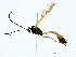  ( - BIOUG95355-E11)  @11 [ ] CreativeCommons - Attribution (2022) CBG Photography Group Centre for Biodiversity Genomics
