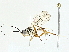  ( - BIOUG95355-F02)  @11 [ ] CreativeCommons - Attribution (2022) CBG Photography Group Centre for Biodiversity Genomics