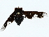  (Nyia - BIOUG95356-A09)  @11 [ ] CreativeCommons - Attribution (2022) CBG Photography Group Centre for Biodiversity Genomics