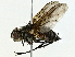  ( - BIOUG95356-B01)  @11 [ ] CreativeCommons - Attribution (2022) CBG Photography Group Centre for Biodiversity Genomics