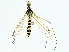  ( - BIOUG95356-C04)  @11 [ ] CreativeCommons - Attribution (2022) CBG Photography Group Centre for Biodiversity Genomics