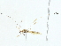  ( - BIOUG95356-D04)  @11 [ ] CreativeCommons - Attribution (2022) CBG Photography Group Centre for Biodiversity Genomics