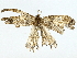  ( - BIOUG95356-G04)  @11 [ ] CreativeCommons - Attribution (2022) CBG Photography Group Centre for Biodiversity Genomics