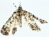  ( - BIOUG95356-G05)  @11 [ ] CreativeCommons - Attribution (2022) CBG Photography Group Centre for Biodiversity Genomics