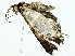  ( - BIOUG95356-H04)  @11 [ ] CreativeCommons - Attribution (2022) CBG Photography Group Centre for Biodiversity Genomics