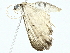  ( - BIOUG95356-H08)  @11 [ ] CreativeCommons - Attribution (2022) CBG Photography Group Centre for Biodiversity Genomics