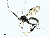  ( - BIOUG95282-E07)  @11 [ ] CreativeCommons - Attribution (2022) CBG Photography Group Centre for Biodiversity Genomics