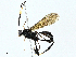  ( - BIOUG95282-E10)  @11 [ ] CreativeCommons - Attribution (2022) CBG Photography Group Centre for Biodiversity Genomics