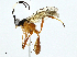  ( - BIOUG95282-G05)  @11 [ ] CreativeCommons - Attribution (2022) CBG Photography Group Centre for Biodiversity Genomics