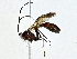  ( - BIOUG95283-B01)  @11 [ ] CreativeCommons - Attribution (2023) CBG Photography Group Centre for Biodiversity Genomics