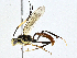  ( - BIOUG95283-B03)  @11 [ ] CreativeCommons - Attribution (2023) CBG Photography Group Centre for Biodiversity Genomics