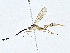  ( - BIOUG95283-B10)  @11 [ ] CreativeCommons - Attribution (2023) CBG Photography Group Centre for Biodiversity Genomics