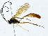  ( - BIOUG95283-C09)  @11 [ ] CreativeCommons - Attribution (2023) CBG Photography Group Centre for Biodiversity Genomics
